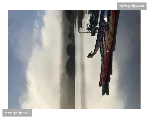 晨雾与羽翅：鸟里的早安启示